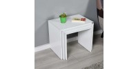 Σετ τραπεζάκια Ζιγκον Λευκό High gloss 55x47x40cm