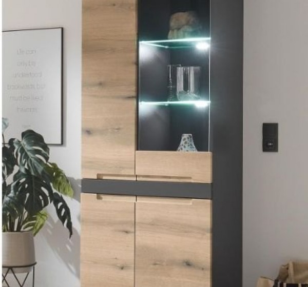 Επιδαπέδια Βιτρίνα Taylor Ανθρακί+Φυσικό Evoke 75x192x38cm