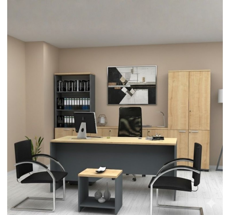 Βιβλιοθήκη γραφείου με κλειδαριά επαγγελματική Venturo Megapap χρώμα ανθρακί - φυσικό οξιάς 80x40x200εκ.