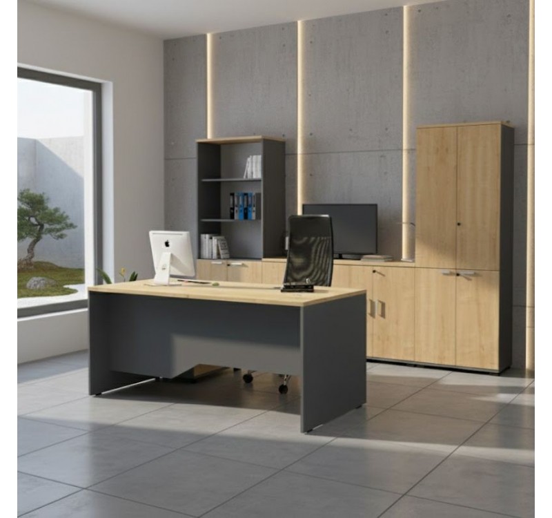 Βιβλιοθήκη γραφείου με κλειδαριά επαγγελματική Venturo Megapap χρώμα ανθρακί - φυσικό οξιάς 80x40x200εκ.