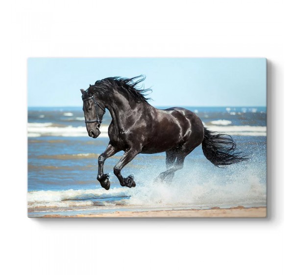 Πίνακας σε καμβά "Black Horse" Megapap ψηφιακής εκτύπωσης 100x70x3εκ.