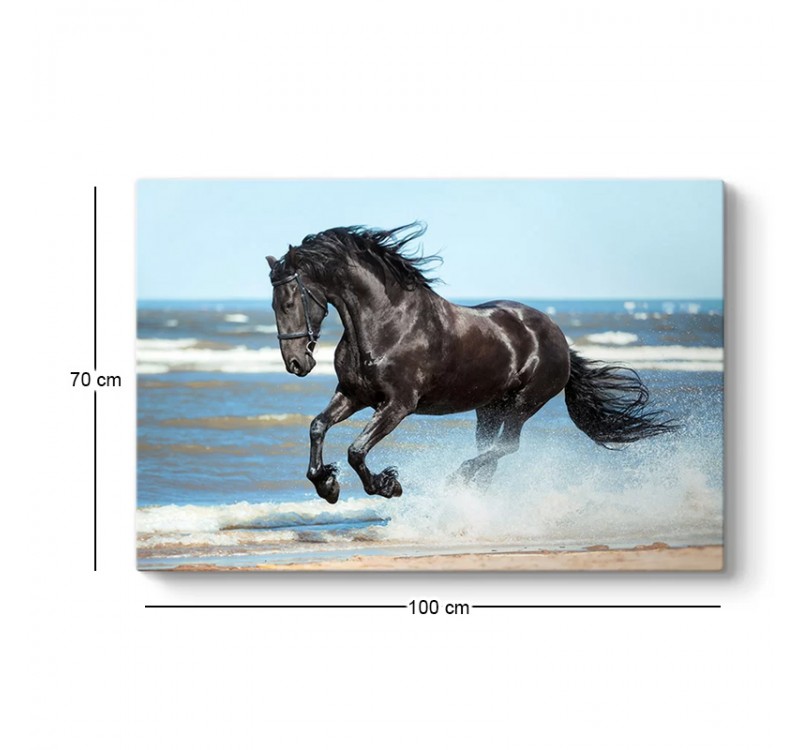 Πίνακας σε καμβά "Black Horse" Megapap ψηφιακής εκτύπωσης 100x70x3εκ.