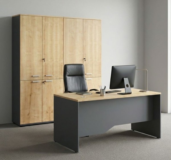 Ντουλάπα γραφείου με κλειδαριά επαγγελματική Venturo Megapap χρώμα ανθρακί - φυσικό οξιάς 160x40x200εκ.