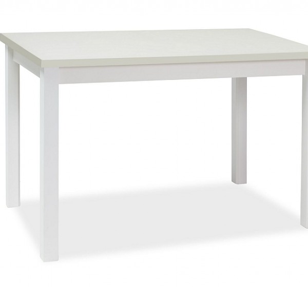 Τραπέζι κουζίνας Adam 100x60x75 λευκό ματ DIOMMI ADAMBM100