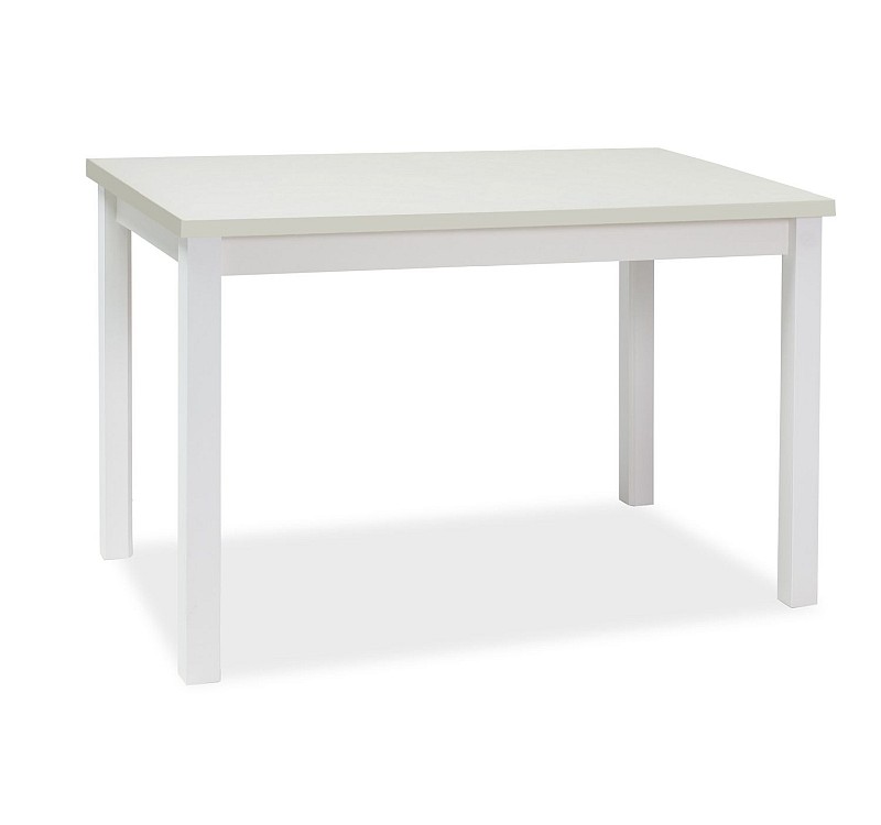 Τραπέζι κουζίνας Adam 100x60x75 λευκό ματ DIOMMI ADAMBM100