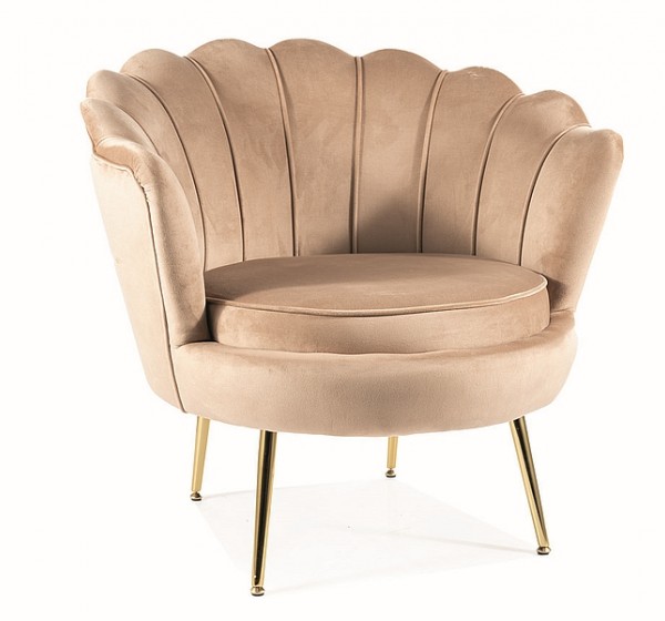 FOTEL CAMELLIA 1 VELVET BEŻOWY BLUVEL 28/ZŁOTY