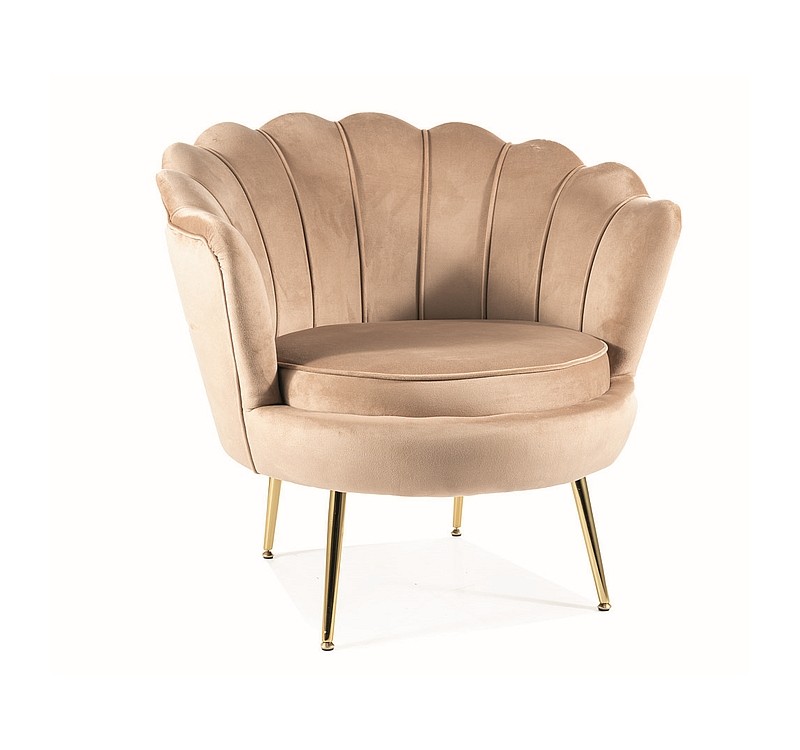 FOTEL CAMELLIA 1 VELVET BEŻOWY BLUVEL 28/ZŁOTY