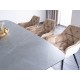 Τραπεζαρία 180-240x95x76 εφέ γκρι μάρμαρο/MDF καρυδιά DIOMMI DOLCESZOR180