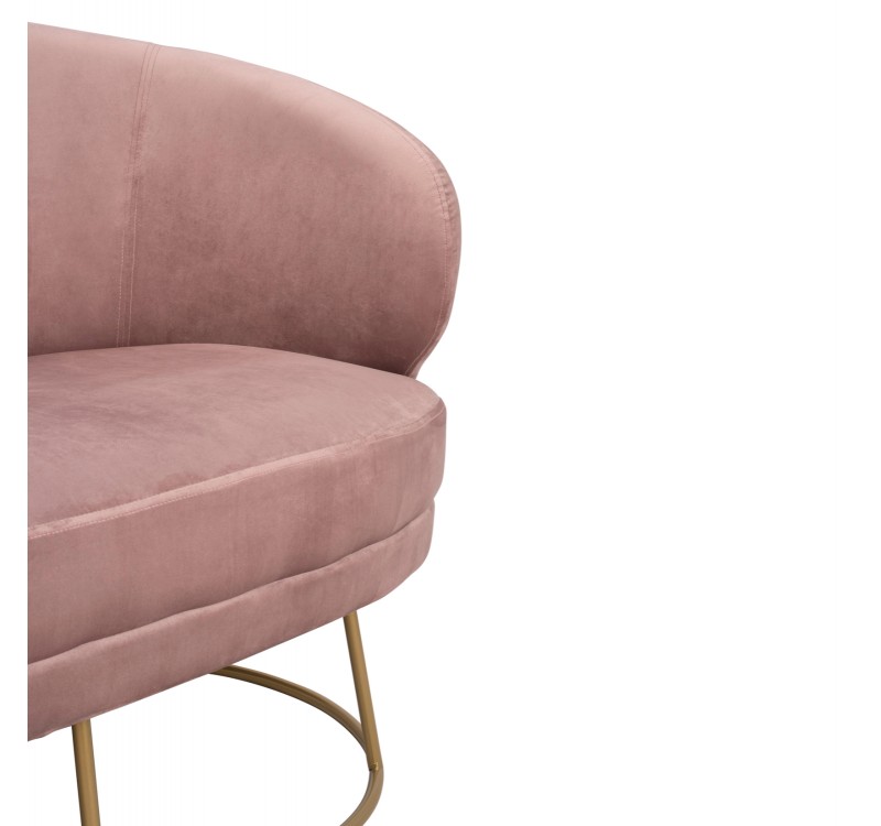 ΚΑΝΑΠΕΣ 2ΘΕΣΙΟΣ ARIEN HM8492.02 ΑΠΟ ΒΕΛΟΥΔΟ ΣΑΠΙΟ ΜΗΛΟ ΜΕ ΧΡΥΣΗ ΒΑΣΗ 125X80X84Y εκ.