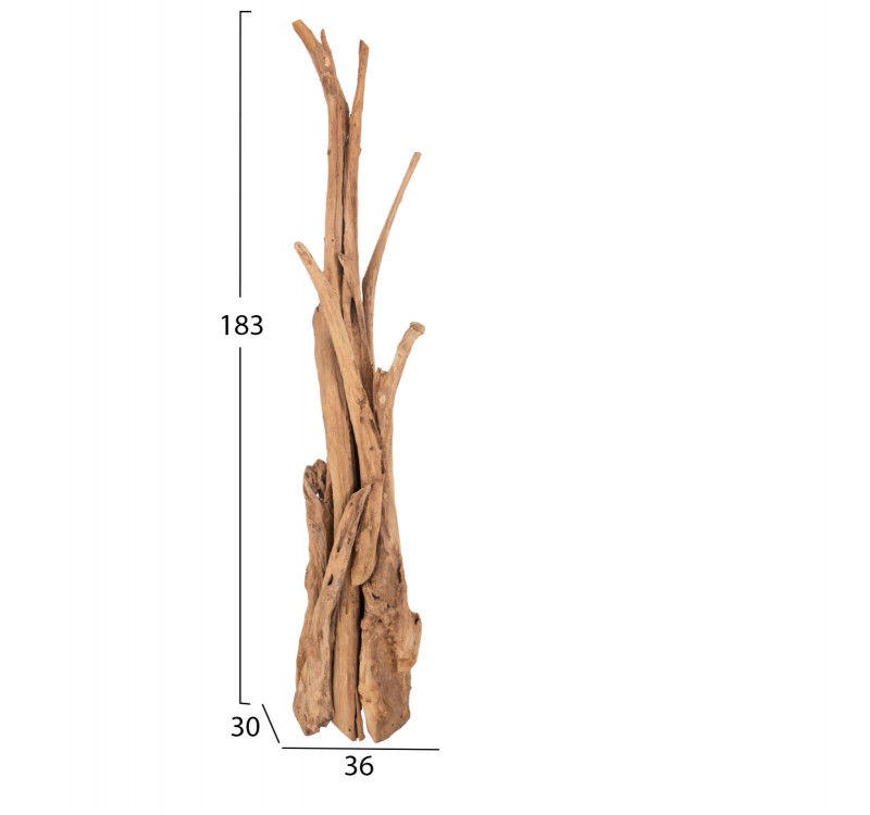 ΚΑΛΟΓΕΡΟΣ HM9367 ΑΠΟ ΜΑΣΙΦ ΞΥΛΟ TEAK ΦΥΣΙΚΟ 36x30x183Υεκ.