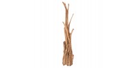 ΚΑΛΟΓΕΡΟΣ HM9367 ΑΠΟ ΜΑΣΙΦ ΞΥΛΟ TEAK ΦΥΣΙΚΟ 36x30x183Υεκ.