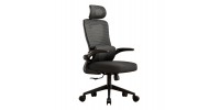 ΚΑΡΕΚΛΑ ΓΡΑΦΕΙΟΥ KESI HM1222.01 ΜΑΥΡO MESH & PP 52x50x122Υεκ.