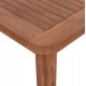 ΣΕΤ ΤΡΑΠΕΖΑΡΙΑΣ ΕΞ.ΧΩΡΟΥ 5ΤΜΧ ROBBIE ΗΜ10926 ΞΥΛΟ TEAK ΣΕ ΦΥΣΙΚΟ